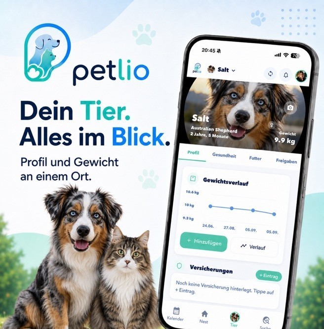 Hund und Katze neben einem Smartphone mit dem Petlio-Tierprofil